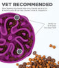 Outward Hound Fun Slow Feeder For Dogs - Purple