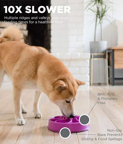 Outward Hound Fun Slow Feeder For Dogs - Purple