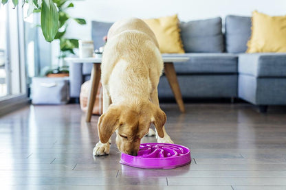 Outward Hound Fun Slow Feeder For Dogs - Purple